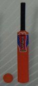 Plastic Cricket Bat And Ball (Sl 5202)