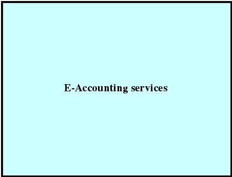 E-Accounting Services