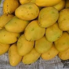 Benganpalli Mangoes