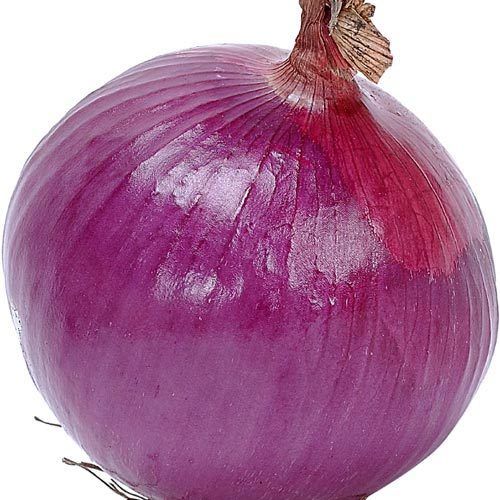 Farm Fresh Onion