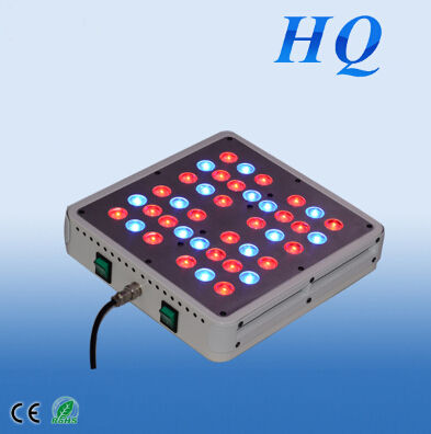 LED Grow Light