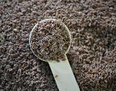 Psyllium Seeds