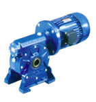 Gear Motor