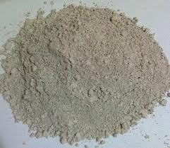 Diatomaceous Earth