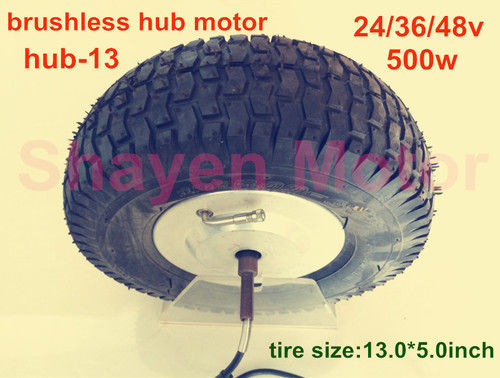 Brushless Hub Motor (Hub-13)