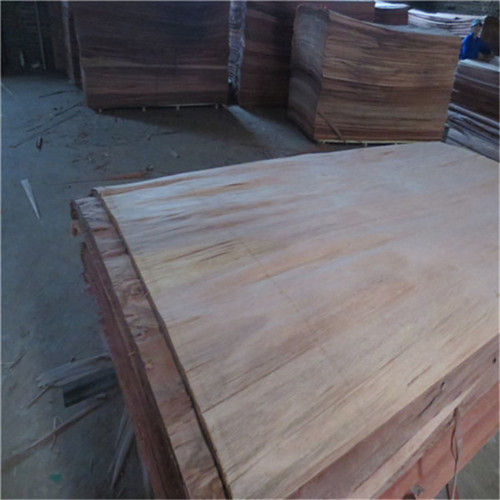 Bintangor, Okoume, Poplar Plywood - 1220x2440mm | 1.6-25mm Thickness, Various Glue Options