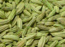 Fennel Seeds