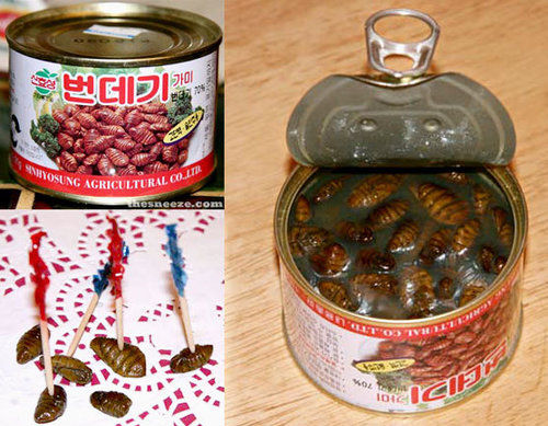 Canned Silkworm