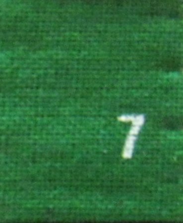 लाइनिंग क्लॉथ फैब्रिक (SPE-07)