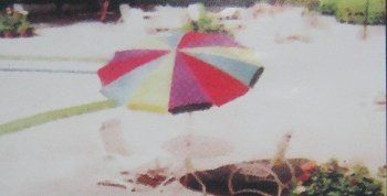 The Canvas Multicolor Umbrella