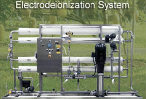 Electrodeionzation System