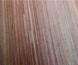 White Wood Face Veneer Sheets