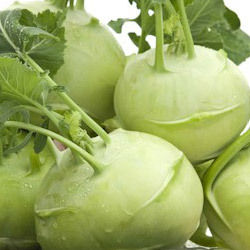 Green Kohlrabi