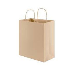 Paper Bag