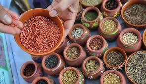 Indian Millets Seed