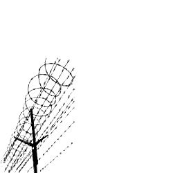 Barbed Fencing Wire