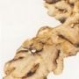 Dry Ginger - Natural Dried Rhizomes | Pale Yellowish Color, Aromatic Stimulant, Medicinal Carminative