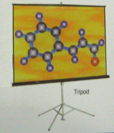 ट्राइपॉड प्रोजेक्शन स्क्रीन