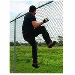 Fence Detection Systems