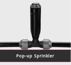 Pop Up Sprinkler