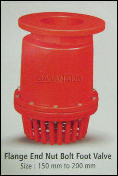 Flange End Nut Bolt Foot Valve