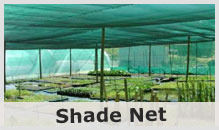 Shade Net