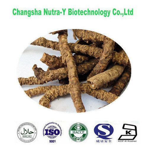 Rhizoma Picrorhizae Extract