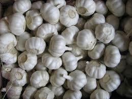 Fresh Garlic By TUVenterprise