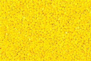 Yellow Mustard Seeds