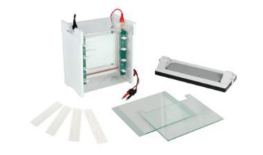 CreGen Medium-Vertical Electrophoresis Cell CG-SCZ6+