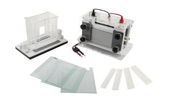 CreGen Medium-Vertical Electrophoresis Cell CG-SCZ8