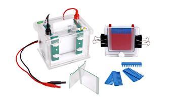 CreGen Mini-Vertical Electrophoresis Cell CG-SCZ4+