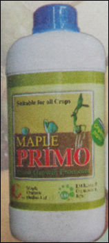 Maple Primo