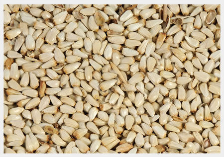 Safflower Seed - 38% Oil Content, 75% Oleic Acid Minimum, Rich in Monounsaturated Fatty Acids - Pure, Odorless, Low Saturate Edible Oil