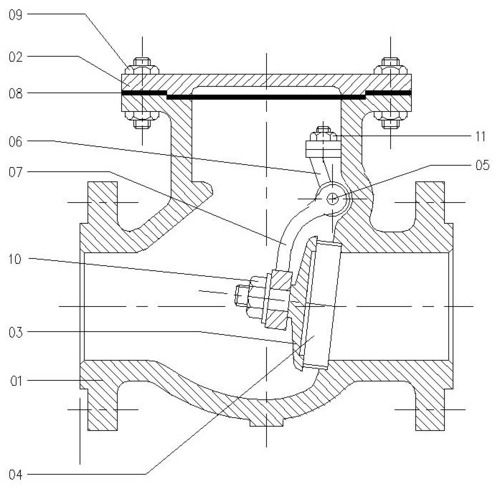 Swing Check Valves