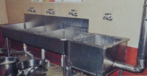 Bulk Washing and Sterlizer
