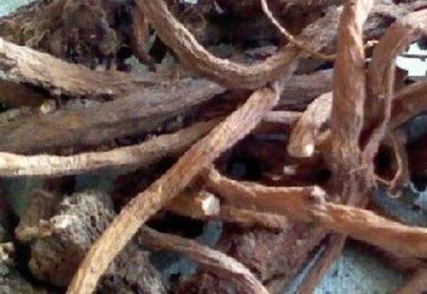 Dandelion Root - High Effectiveness & Nutritional Tonic | Leading Exporter & Manufacturer