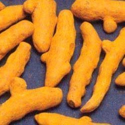 Turmeric Finger