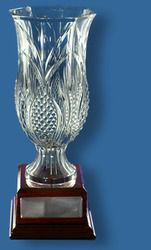 Acrylic Cup Award