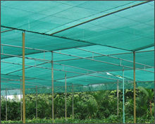 Superior Grade Green Shade Net