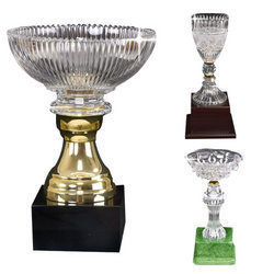 Crystal Award Cups