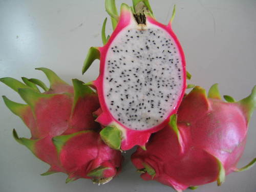 Fresh Dragon Fruit