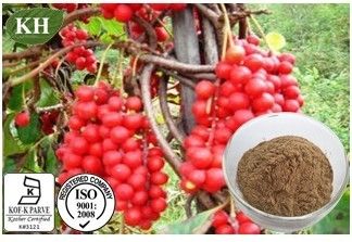 Schizandra Extract