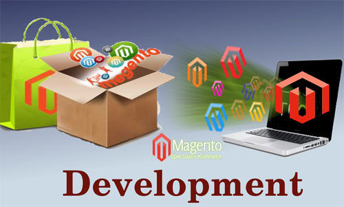 Custom Web Development Services - Flexible and Scalable Themes, SEO Optimized & Mobile Friendly Solutions