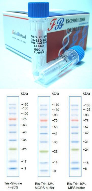 10-180kDa Prestained Protein Ladder
