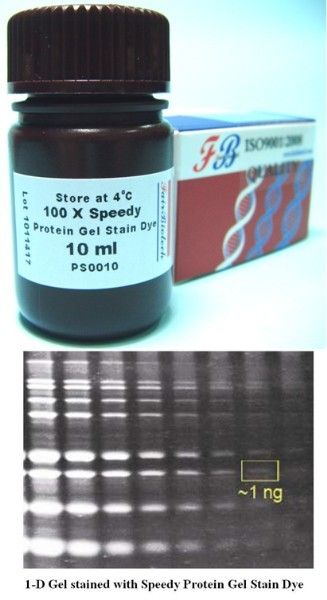 100A  Speedy Protein Gel Stain Dye