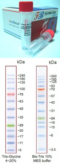 3.5-245kDa Prestained Protein Ladder