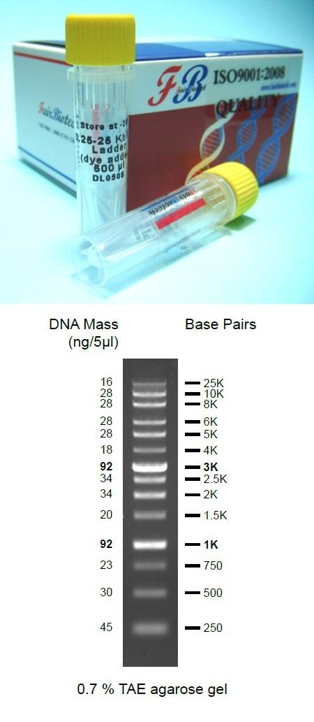 Assorted dye-added DNA Ladders