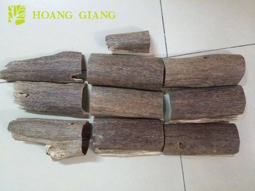 Special Agarwood Log