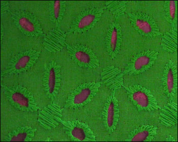 Textiles Cotton Embroidered Fabrics